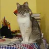 Отзыв от Алиса Федосеева